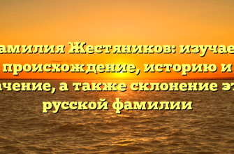 Фамилия Жестяников: изучаем происхождение, историю и значение, а также склонение этой русской фамилии