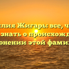 Фамилия Жигарь: все, что вы хотели знать о происхождении и склонении этой фамилии