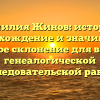 Фамилия Жинов: история, происхождение и значимость, полное склонение для вашей генеалогической исследовательской работы