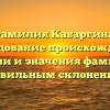 Фамилия Кабаргина: исследование происхождения, истории и значения фамилии с правильным склонением