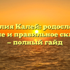 Фамилия Калей: родословная, значение и правильное склонение — полный гайд