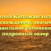 Фамилия Калиман: история происхождения, значения и правильное склонение — подробный обзор