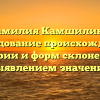 Фамилия Камшилина: исследование происхождения, истории и форм склонения с выявлением значения
