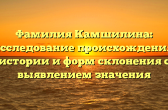 Фамилия Камшилина: исследование происхождения, истории и форм склонения с выявлением значения