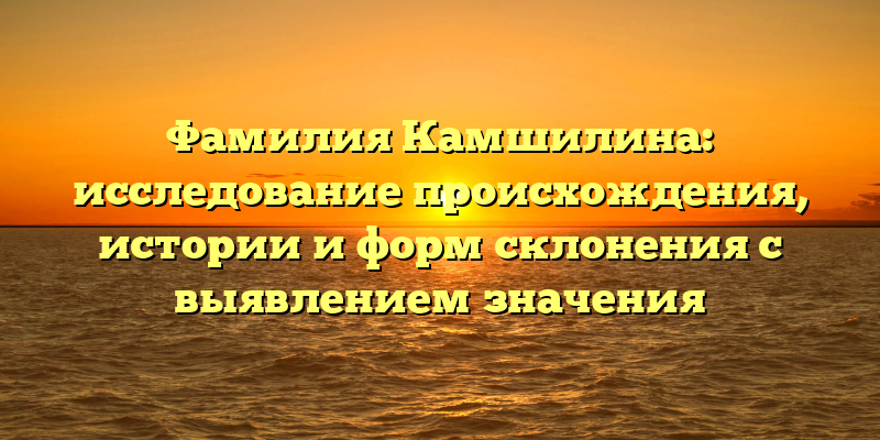 Фамилия Камшилина: исследование происхождения, истории и форм склонения с выявлением значения