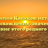 Фамилия Касиков: история происхождения, значение и склонение этого редкого имени