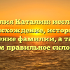 Фамилия Каталин: исследуем происхождение, историю и значение фамилии, а также узнаем правильное склонение