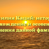 Фамилия Каций: история, происхождение и особенности склонения данной фамилии