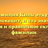 Фамилия Киль: откуда происходит, и что значит? История и правильное склонение фамилии
