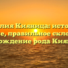 Фамилия Кияница: история и значение, правильное склонение и происхождение рода Кияницких