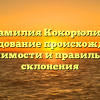 Фамилия Кокорюлин: исследование происхождения, значимости и правильного склонения