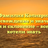 Фамилия Колибри: происхождение и значение, история и склонение — все, что вы хотели знать
