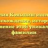 Фамилия Коньшин: исследуем происхождение, историю и склонение этой уникальной фамилии