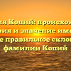 Фамилия Копий: происхождение, история и значение имени, а также правильное склонение фамилии Копий