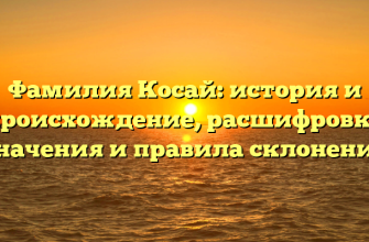 Фамилия Косай: история и происхождение, расшифровка значения и правила склонения