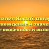 Фамилия Косый: история, происхождение и значение, а также особенности склонения
