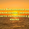 Фамилия Косынкина: история происхождения, значения и особенности склонения в русском языке