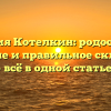 Фамилия Котелкин: родословная, значение и правильное склонение – всё в одной статье!