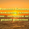 Фамилия Коханец: происхождение, склонение и значение – исследуем историю редкой фамилии