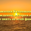 Фамилия Кулебякина: происхождение, история и все, что нужно знать об этой фамилии