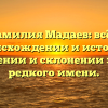 Фамилия Мадаев: всё о происхождении и истории, значении и склонении этого редкого имени.