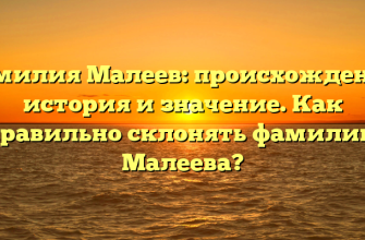 Фамилия Малеев: происхождение, история и значение. Как правильно склонять фамилию Малеева?
