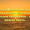 Фамилия Маленков: история происхождения, значение и правильное склонение – все что нужно знать.