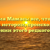Фамилия Мамась: все, что нужно знать об истории, происхождении и значении этого редкого имени