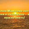 Фамилия Мамиева: история, значения и склонение — все, что нужно знать!
