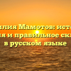 Фамилия Мамотов: история, значения и правильное склонение в русском языке