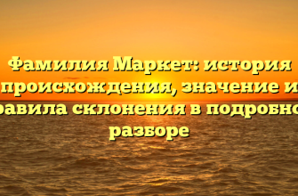 Фамилия Маркет: история происхождения, значение и правила склонения в подробном разборе
