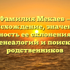 Фамилия Мекаев — происхождение, значение и важность ее склонения для генеалогии и поиска родственников