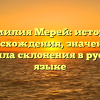 Фамилия Мерей: история происхождения, значения и правила склонения в русском языке