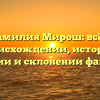 Фамилия Мирош: всё о происхождении, истории, значении и склонении фамилии.