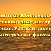 Фамилия Молдованин: происхождение, история и склонение. Узнайте значение и интересные факты!