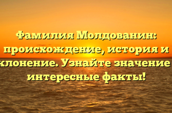 Фамилия Молдованин: происхождение, история и склонение. Узнайте значение и интересные факты!