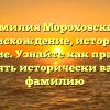 Фамилия Мороховский: происхождение, история и значение. Узнайте как правильно склонять исторически важную фамилию