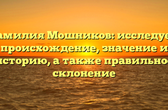 Фамилия Мошников: исследуем происхождение, значение и историю, а также правильное склонение