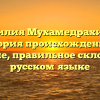 Фамилия Мухамедрахимов: история происхождения и значение, правильное склонение в русском языке
