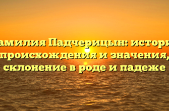 Фамилия Падчерицын: история происхождения и значения, склонение в роде и падеже
