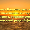 Фамилия Палатов: исследуем происхождение, историю и значение, а также узнаем склонение этой редкой фамилии