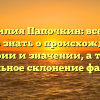 Фамилия Папочкин: все, что нужно знать о происхождении, истории и значении, а также правильное склонение фамилии