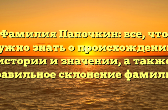 Фамилия Папочкин: все, что нужно знать о происхождении, истории и значении, а также правильное склонение фамилии