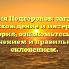 Фамилия Подборонов: загадочное происхождение и интересная история, ознакомьтесь с ее значением и правильным склонением.