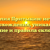 Фамилия Притыкин: история происхождения, уникальное значение и правила склонения