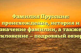 Фамилия Прусские: происхождение, история и значение фамилии, а также склонение — подробный обзор