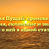 Фамилия Пущай: происхождение и история, склонение и значение – все о ней в одной статье!