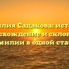 Фамилия Садакова: история, происхождение и склонение фамилии в одной статье