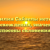 Фамилия Сайбель: история происхождения, значения и способы склонения