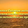 Фамилия Саляхов: история, происхождение, значение и правила склонения на примерах